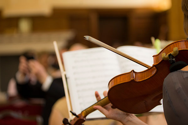 A close up of a woman from behind as she plays her violin and reads sheet music.